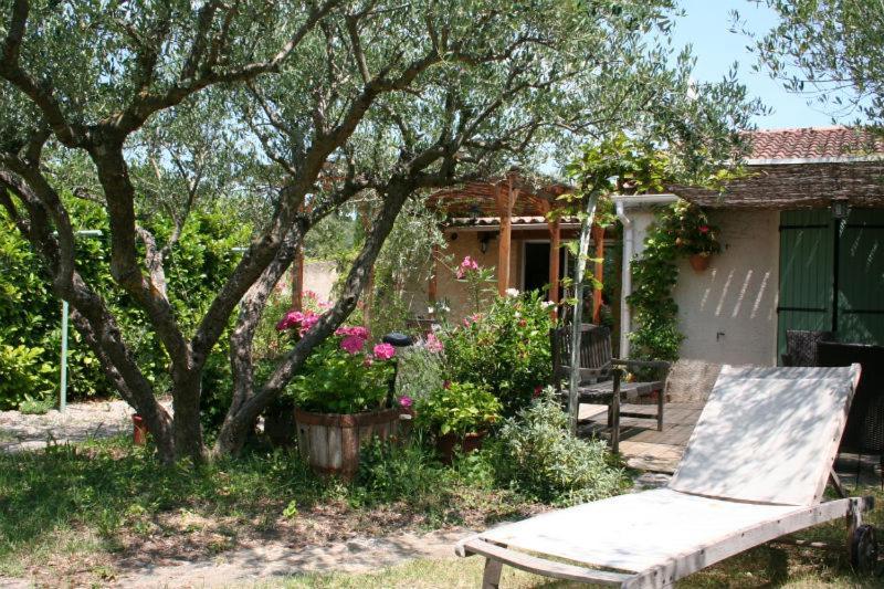 Gite Des Oliviers La Roque-sur-Ceze Ngoại thất bức ảnh